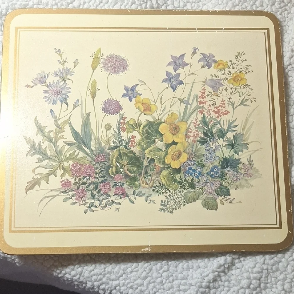 Floral Botanical Print Coasters